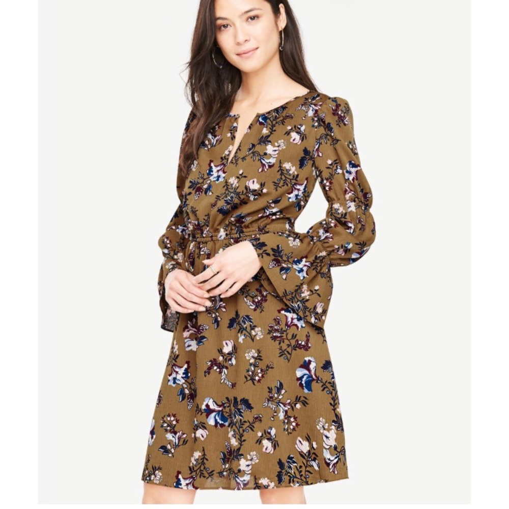 Ann Taylor Ruffle Sleeve Floral Dress